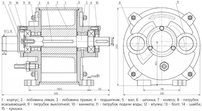 Чертеж вакуумного водокольцевого насоса