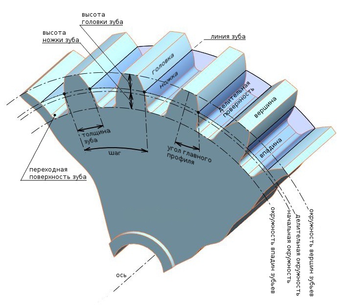 Зубчатое колесо: гост, параметры, виды, типы, расчет